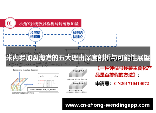 米内罗加盟海港的五大理由深度剖析与可能性展望 米内罗加盟海港的五大理由深度剖析与可能性展望