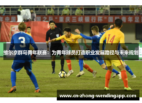 维尔京群岛青年联赛:为青年球员打造职业发展路径与未来规划 维尔京群岛青年联赛:为青年球员打造职业发展路径与未来规划