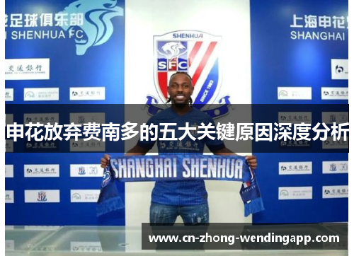 申花放弃费南多的五大关键原因深度分析