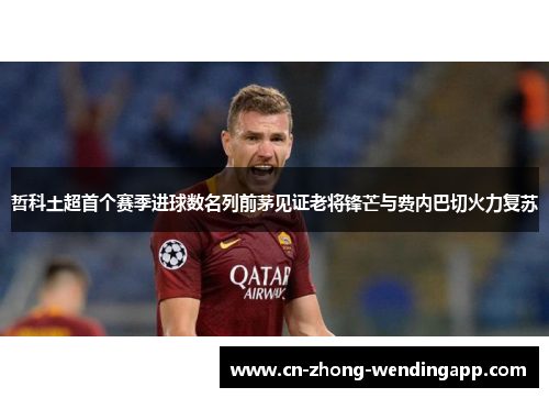 哲科土超首个赛季进球数名列前茅见证老将锋芒与费内巴切火力复苏
