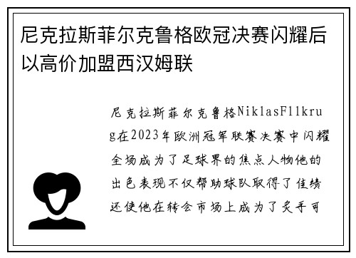 尼克拉斯菲尔克鲁格欧冠决赛闪耀后以高价加盟西汉姆联 尼克拉斯菲尔克鲁格欧冠决赛闪耀后以高价加盟西汉姆联